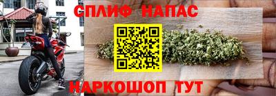 тгк Будённовск