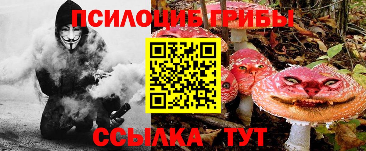 Галлюциногенные грибы Psilocybe  Вход с VPN  Псилоцибиновые грибы прущие грибы  Нововоронеж 